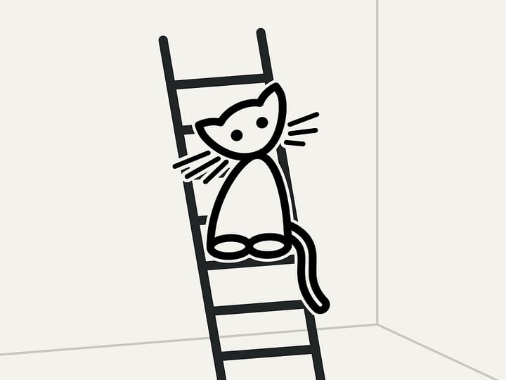 Котёнок на лестнице